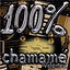 Cover 100 % Chamamé - Vol. 2