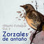 Cover Zorzales de Antaño / Alberto Echague Vol. 2