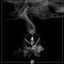 Cover Testify