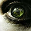 Cover Dorn im Auge