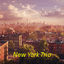 Cover Brooklyn Sky