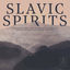 Cover Slavic Spirits