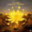 Cover Golden Flower
