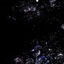 Cover Myriad
