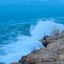 Cover agua