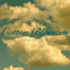 Cover Cotton Blossom