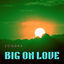 Cover Big on Love