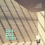 Cover Wir waren schon immer da