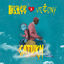 Cover Saturn