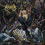 Cover Amoral