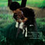 Cover Tomorrow's Just Another Day +3 (2022 Yoshinori Sunahara Remastering)