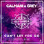 Cover Can't Let You Go