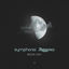 Cover Moonlight (Radio Version)