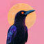 Cover Currawong