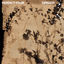 Cover Verdict Four