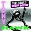 Cover Tony Hawk's American Wasteland Soundtrack