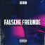 Cover Falsche Freunde