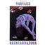 Cover Reincarnation