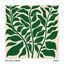 Cover Basil