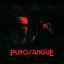 Cover Purosangue