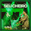 Cover Seu Cheiro (Live)