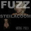 Cover Fuzz Steilacoom