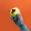 Cover Roland-Garros