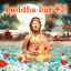 Cover Buddha Bar XIII