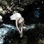 Cover Otherworld