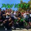Cover Piwi verte