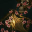 Cover Ikigai