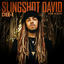 Cover Slingshot David