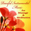 Cover Peaceful Instrumental Music for Massage & Meditation