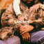Cover Lucky