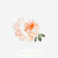 Cover Fleur de Rêves