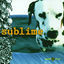 Cover Sublime