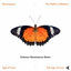 Cover The Age Of Love (Solomun Renaissance Remix)