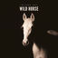 Cover Wild Horse