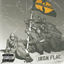 Cover Iron Flag