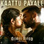 Cover Kaattu Payale