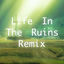 Cover Life in the Ruins