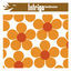 Cover Bollente