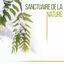 Cover Sanctuaire de la nature – Sons calmes, Musique apaisante, L’ambient calme, Musique de la nature