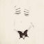 Cover BUTTERFLY