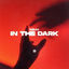 Cover In the Dark