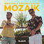 Cover Mozaik