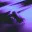 Cover Synthetic