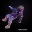 Cover Black Holes