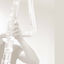 Cover Fallen Down (From "Undertale") - Contrabass Flute Version