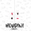 Cover Houdini - ( Dance )